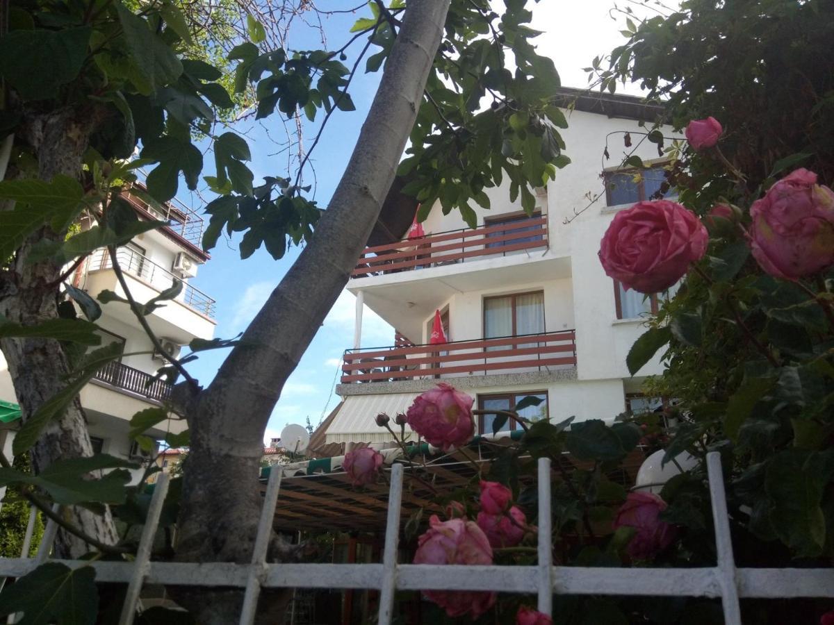Guesthouse Oasis キテン エクステリア 写真
