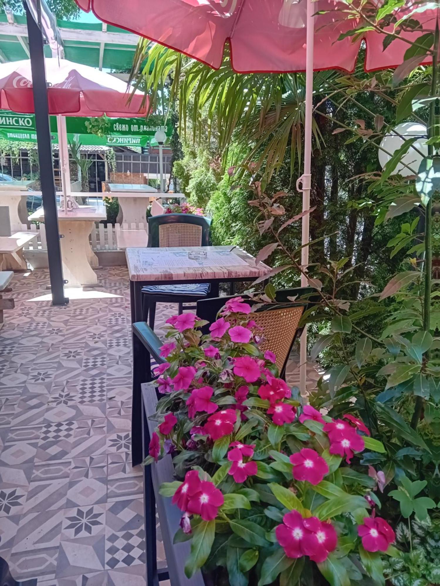 Guesthouse Oasis キテン エクステリア 写真
